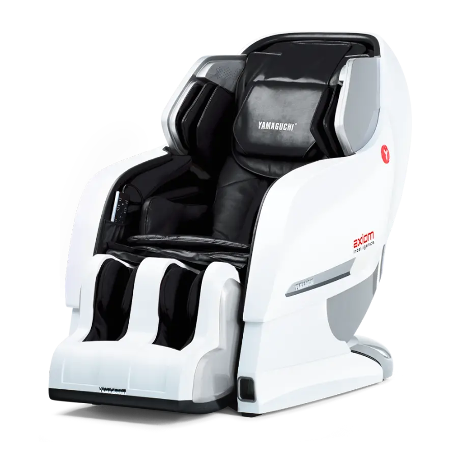 Yamaguchi Axiom YA-6000 White-Black